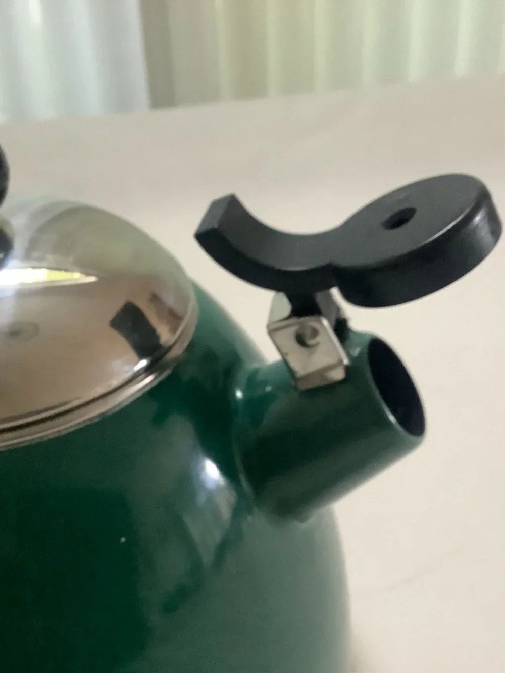 Whistling Tea Kettle Green